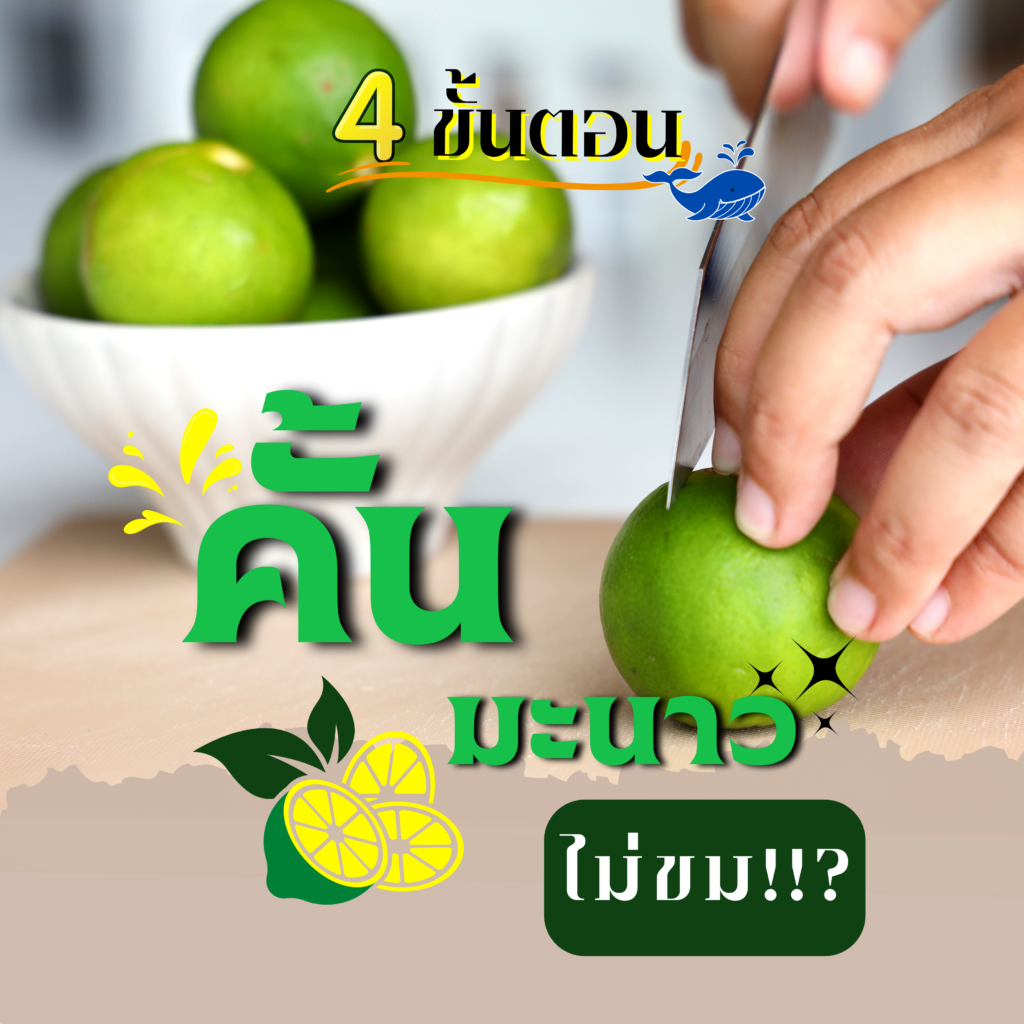My Image 34